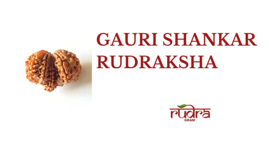 Gauri Shankar Rudraksha with description highlighting its spiritual benefits and significance