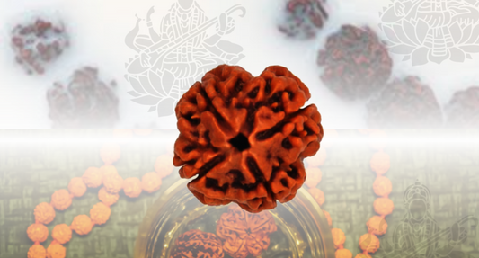 Close-up of Certified Rudraksha beads showcasing their unique texture for the buying guide