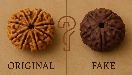 How to Identify Original Rudraksha – Complete Guide
