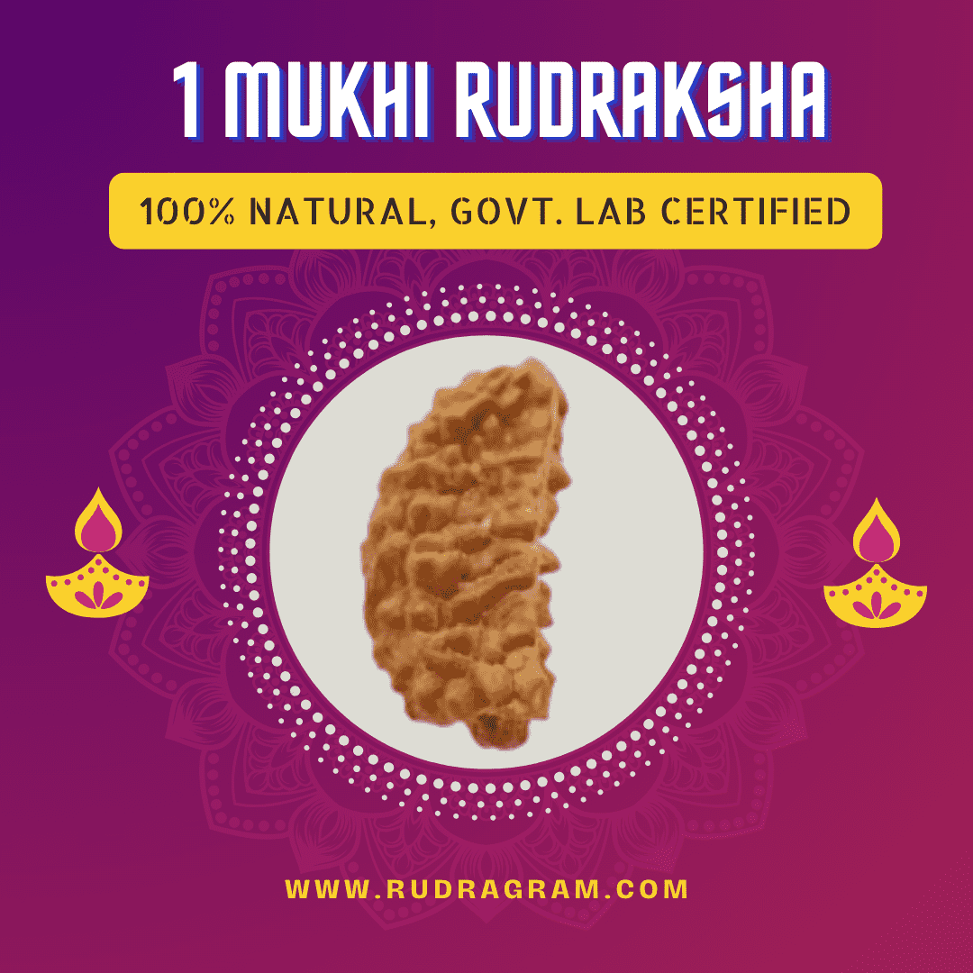 1 Mukhi Rudraksha natural bead with government lab certification for spiritual wellness