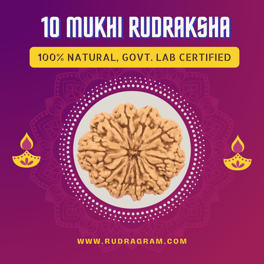 10 Mukhi Rudraksha bead, 100% natural and government lab certified for spiritual use