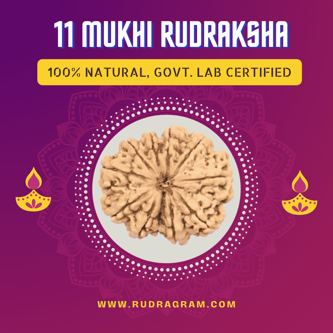 11 Mukhi Rudraksha, 100% natural and government lab certified for spiritual benefits