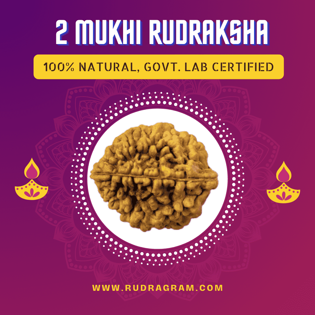 2 Mukhi Rudraksha Bead, 100% Natural and Govt Lab Certified for Spiritual Practices