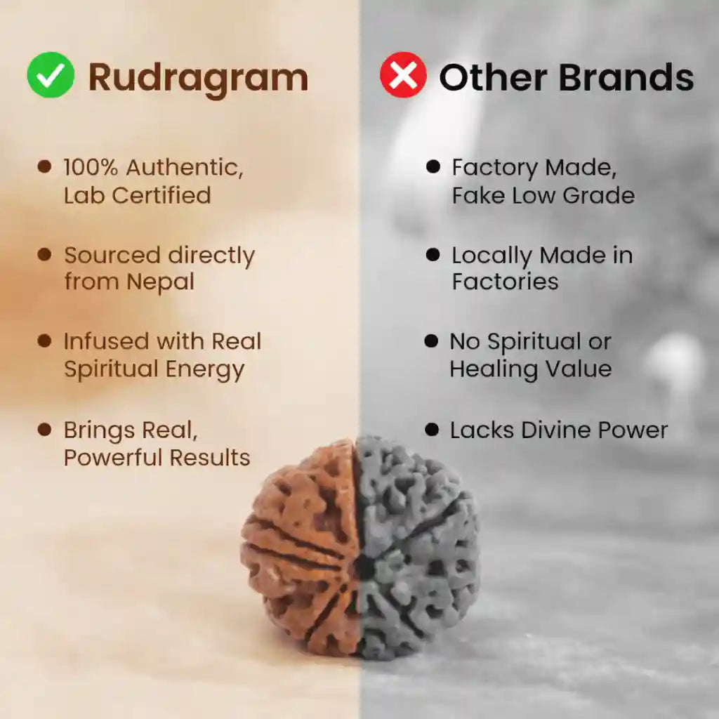 Comparison chart between Rudagram and other brands of rudraksha beads, highlighting authenticity and quality differences.