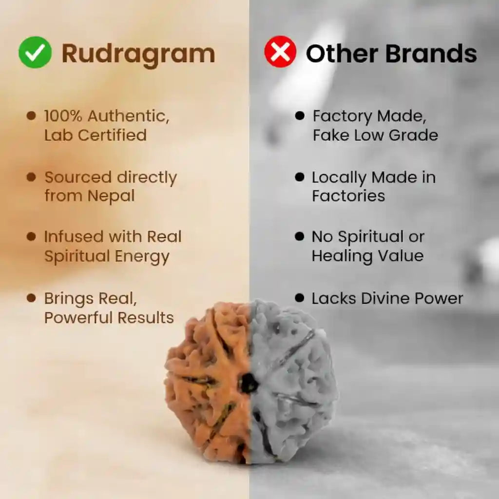 Comparison chart between Rudagram and other brands, featuring a rudraksha bead on a beige and gray background.