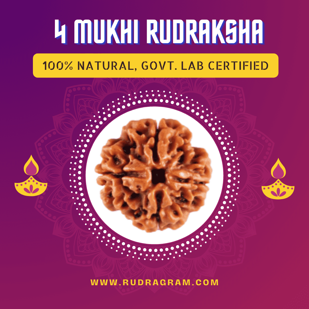 4 Mukhi Rudraksha bead, 100% natural and government lab certified for spiritual practices
