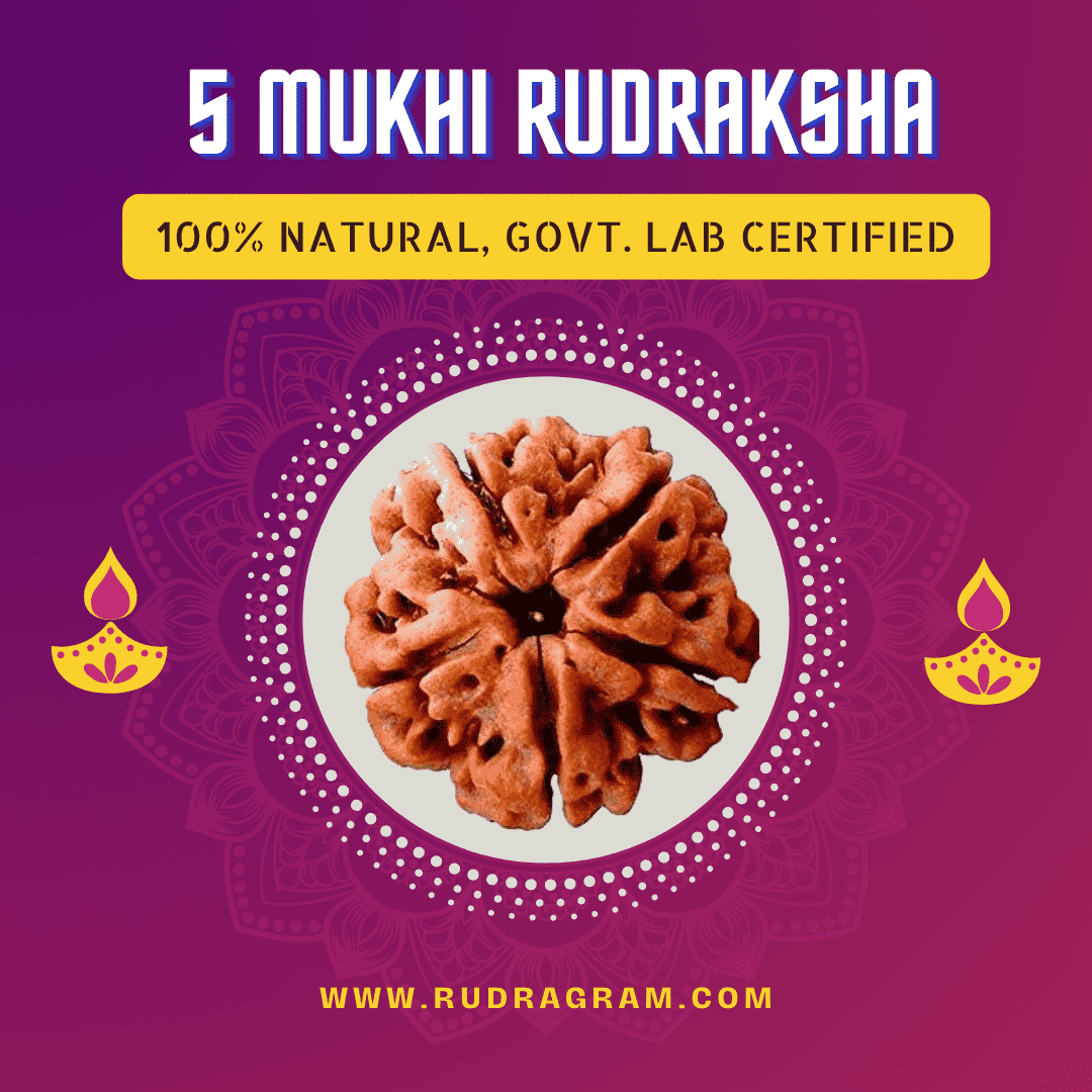 5 Mukhi Rudraksha bead, 100% natural and government lab certified with a unique texture