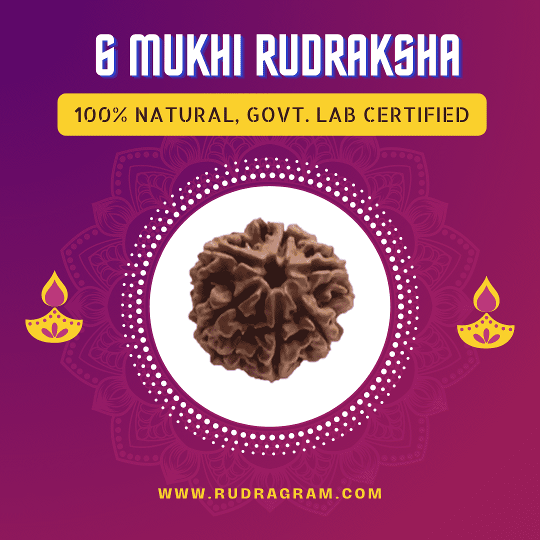6 Mukhi Rudraksha bead, 100% natural and government lab certified, perfect for spiritual practices