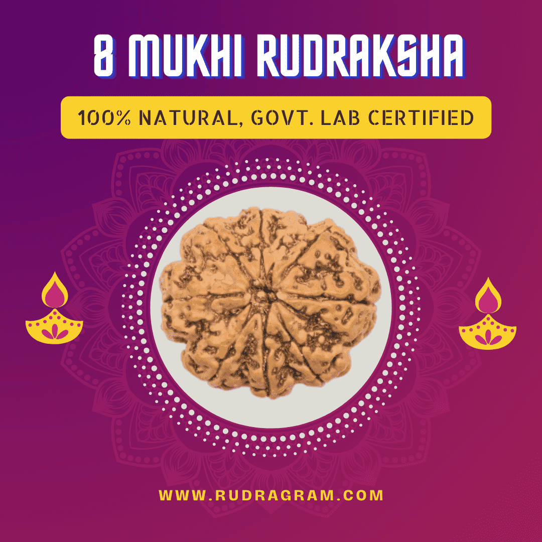8 Mukhi Rudraksha Bead, 100% natural and government lab certified, perfect for spiritual practices