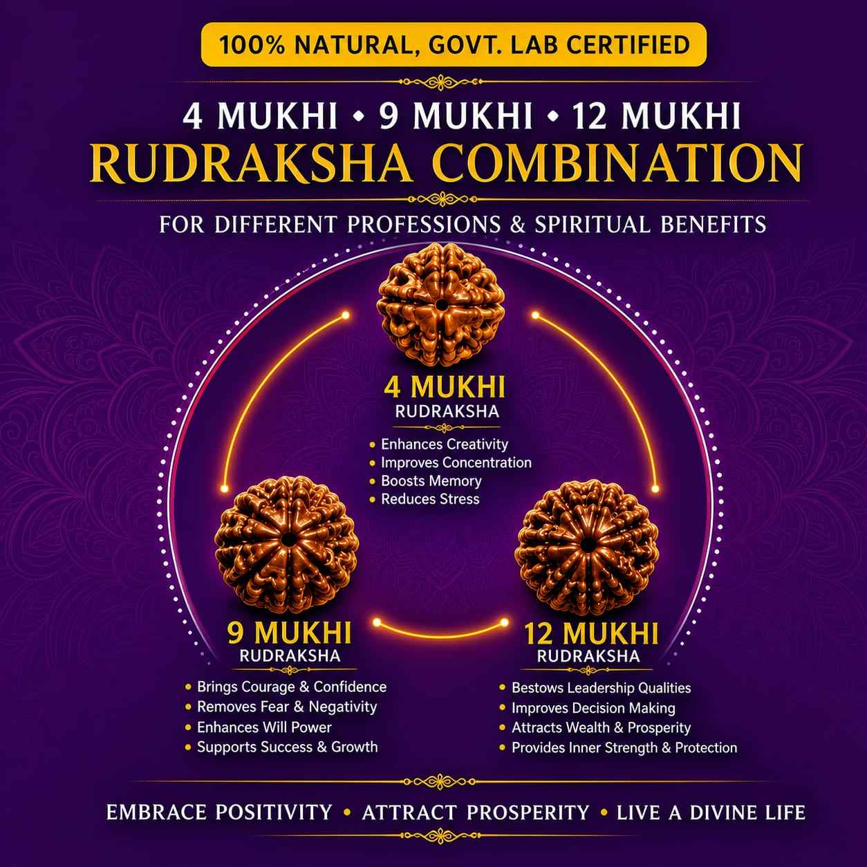 Rudraksha Sets for Doctors, Meditation, Protection & Power