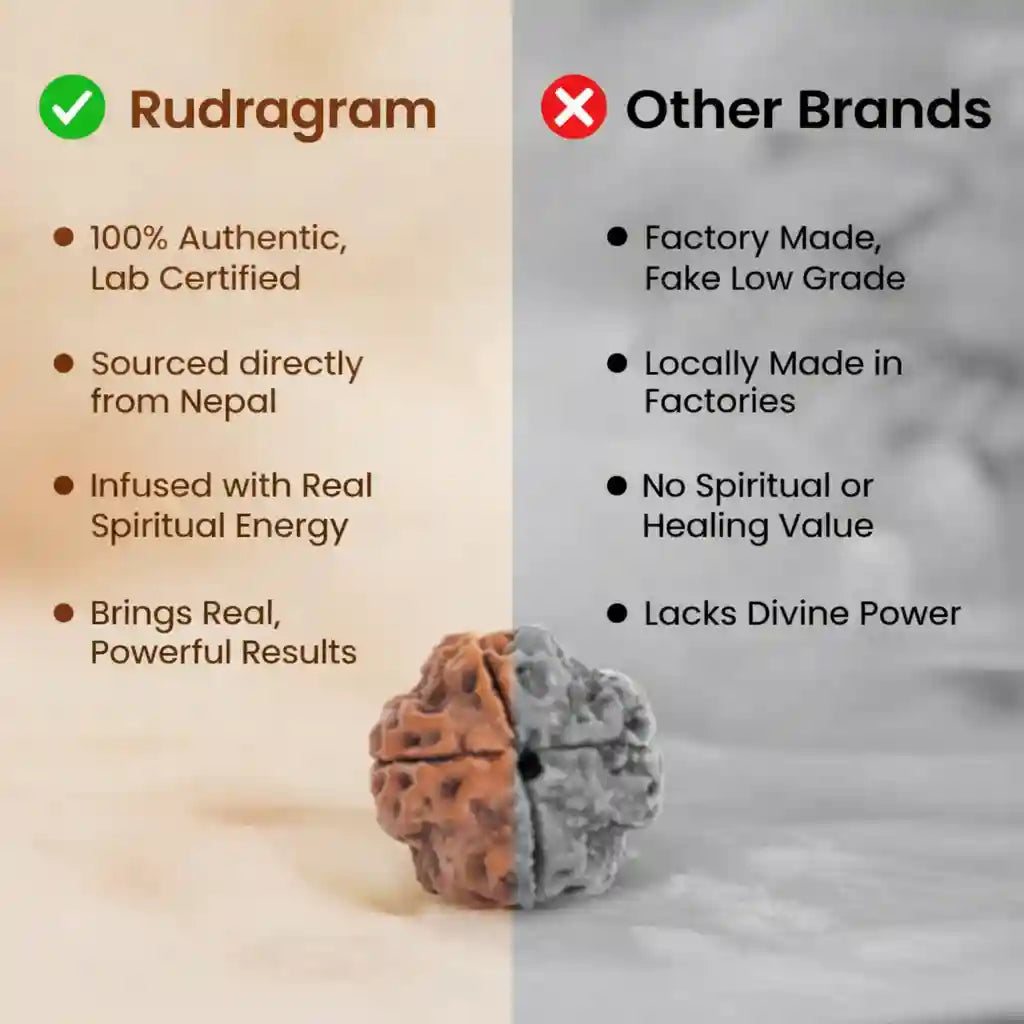Comparison chart between Rudagram and other brands, featuring a rudraksha bead on a beige and gray background.