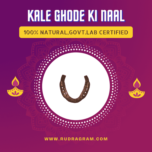 Black Horse Shoe from RudraGram, 100% natural and government lab certified for authenticity