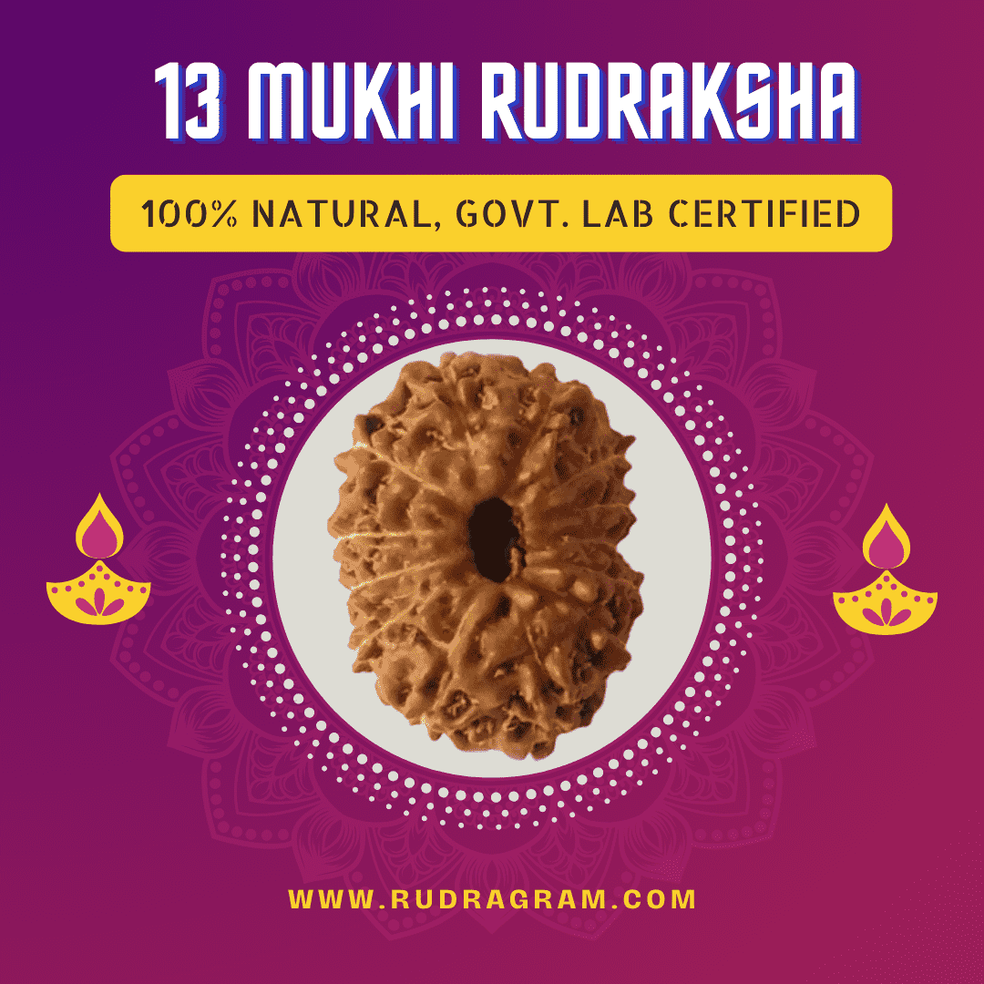 13 Mukhi Rudraksha from RudraGram, 100% natural and govt lab certified, buy 13 Mukhi Rudraksha online