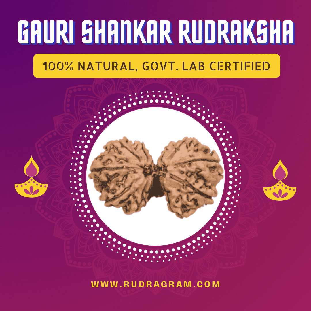 Gauri Shankar Rudraksha with 100% natural, government lab certification for spiritual purposes