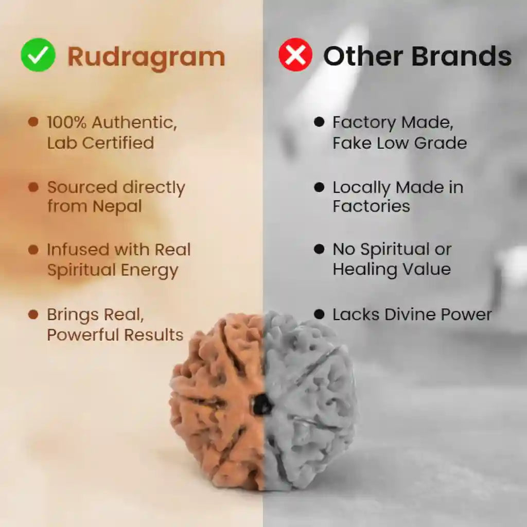 Comparison chart between Rudagram and other brands, featuring a rudraksha bead on a beige background.