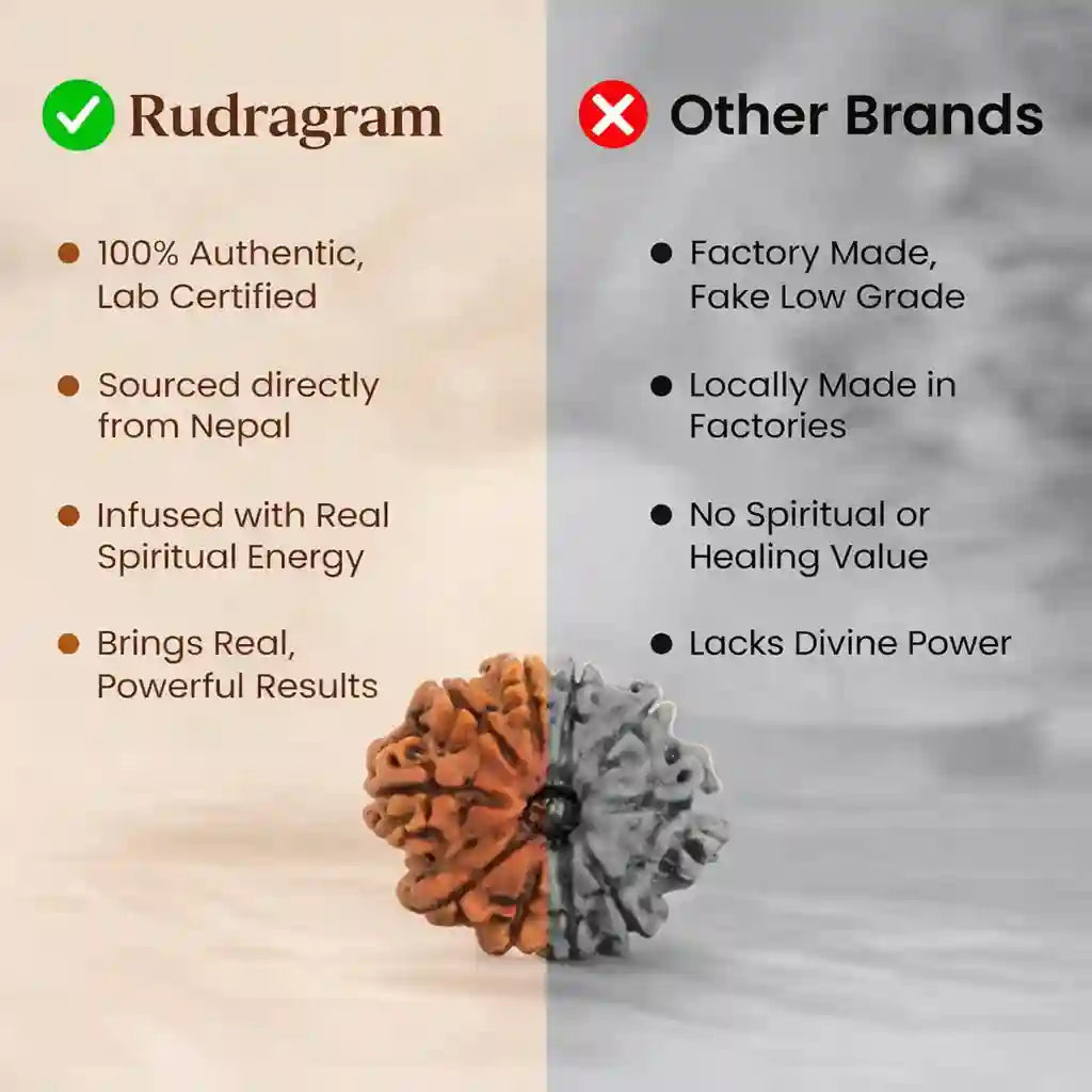 Comparison chart between Rudragram and other brands, featuring a rudraksha bead on a beige background.