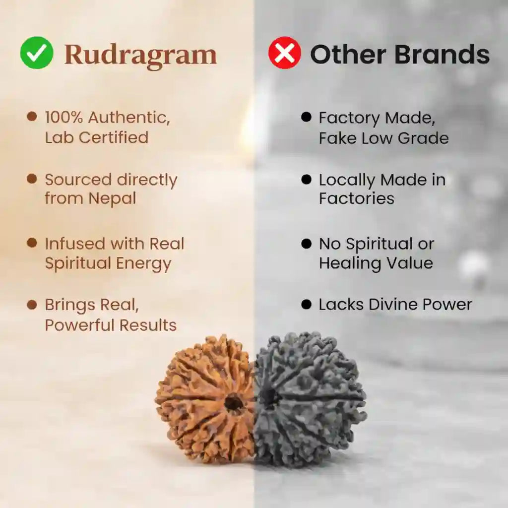 Comparison chart between Rudragram and other brands, featuring two rudraksha beads.