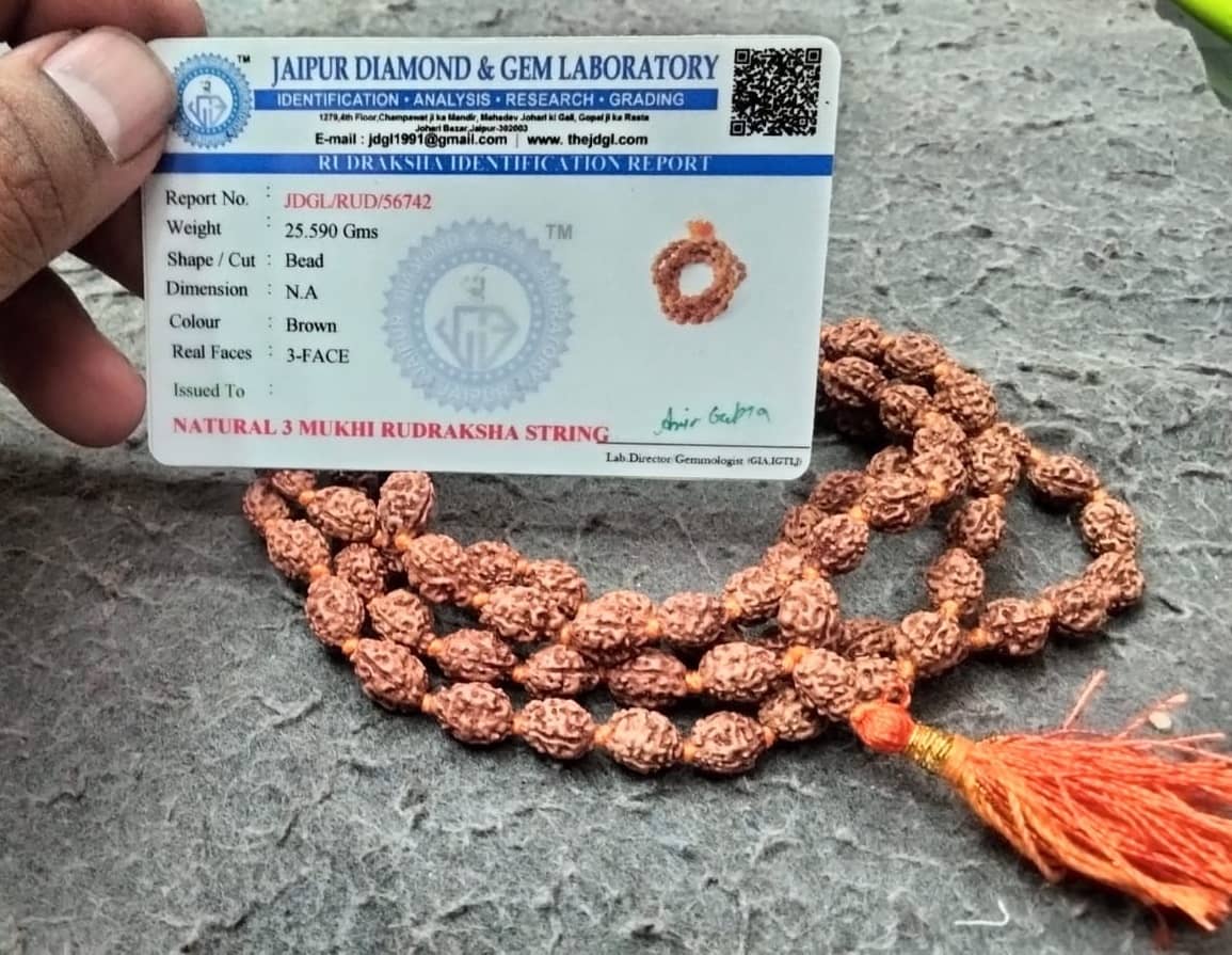 3 Mukhi Rudraksha Mala with Certification from Jaipur Diamond and Gem Laboratory