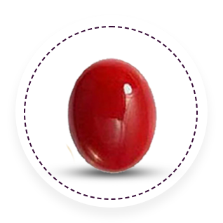 RudraGram Buy Red Coral Gemstone - 100% Natural & Certified