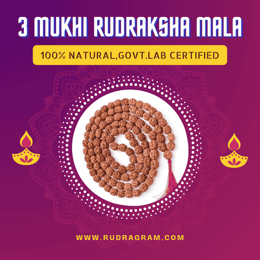 3 Mukhi Rudraksha Mala on a purple background, showcasing its natural beads and tassel, certified by the government.