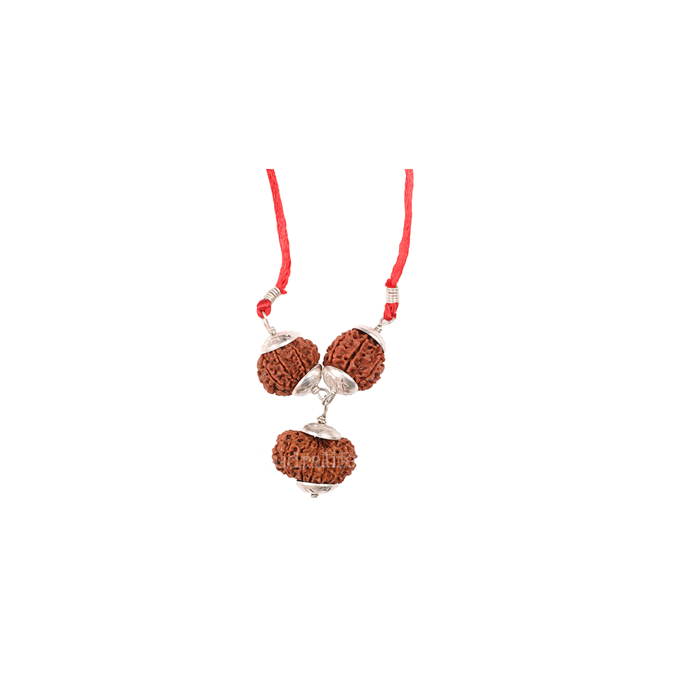 Rudraksha Combination For sales executives brokers traders necklace with three beads and red cord