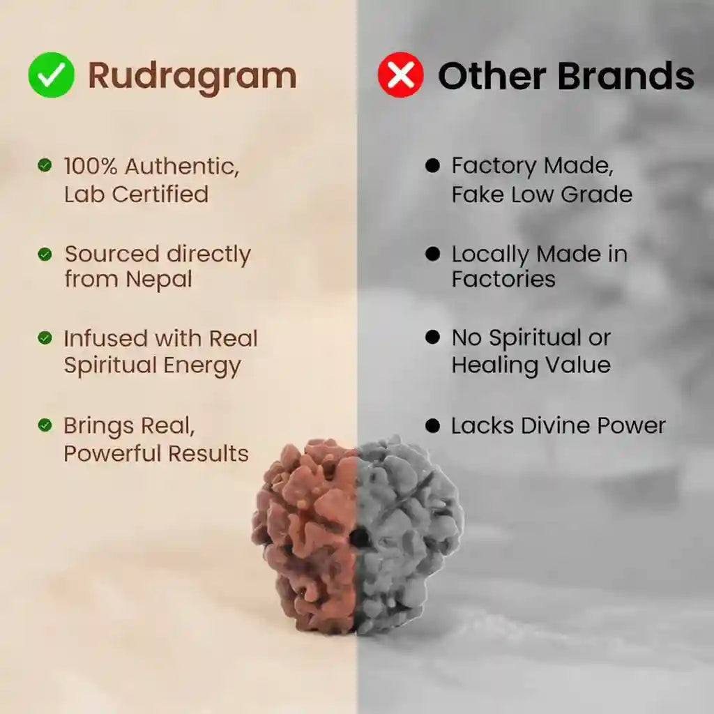 Comparison chart between Rudragram and other brands, highlighting authentic性和来源。