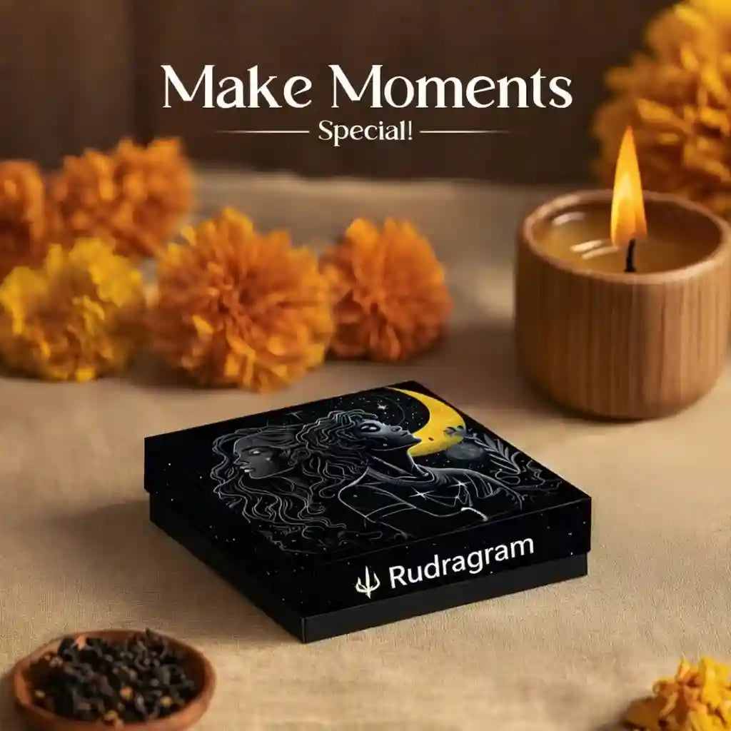 4 Mukhi Rudraksha - 100% Natural, Govt. Lab Certified