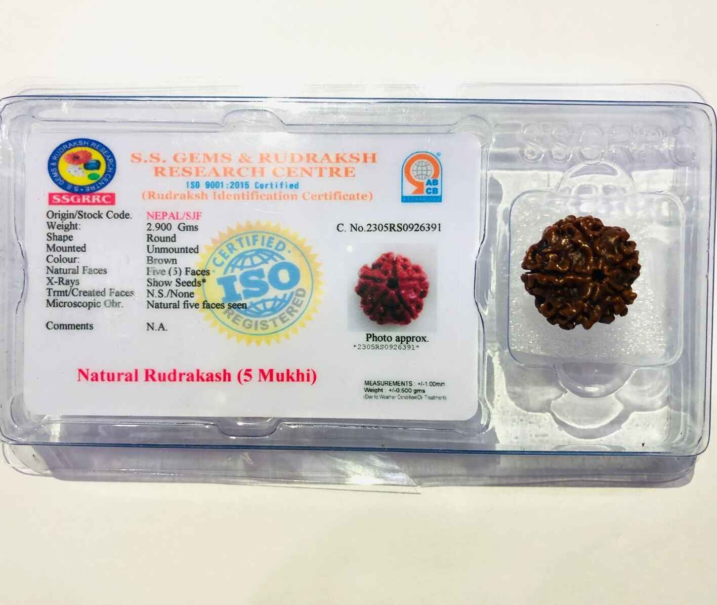 5 Mukhi Rudraksha bead in packaging with certification for spiritual use and meditation
