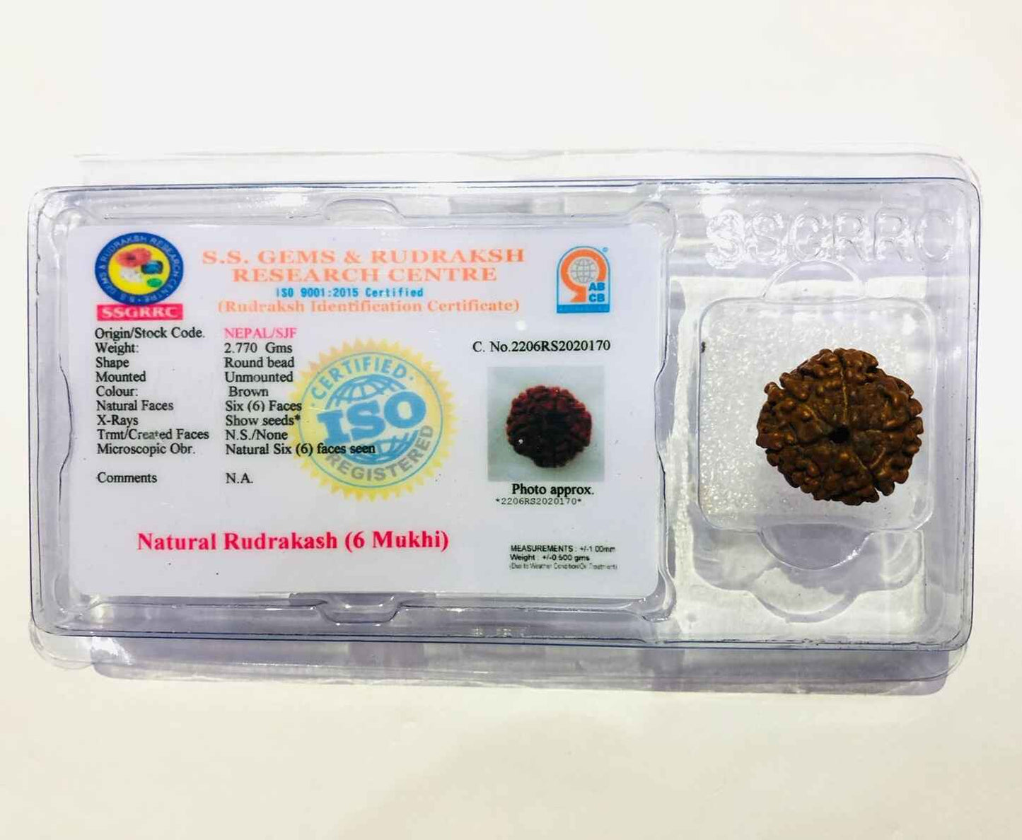 6 Mukhi Rudraksha presented in a certified packaging from SS Gems and Rudrash Research Centre