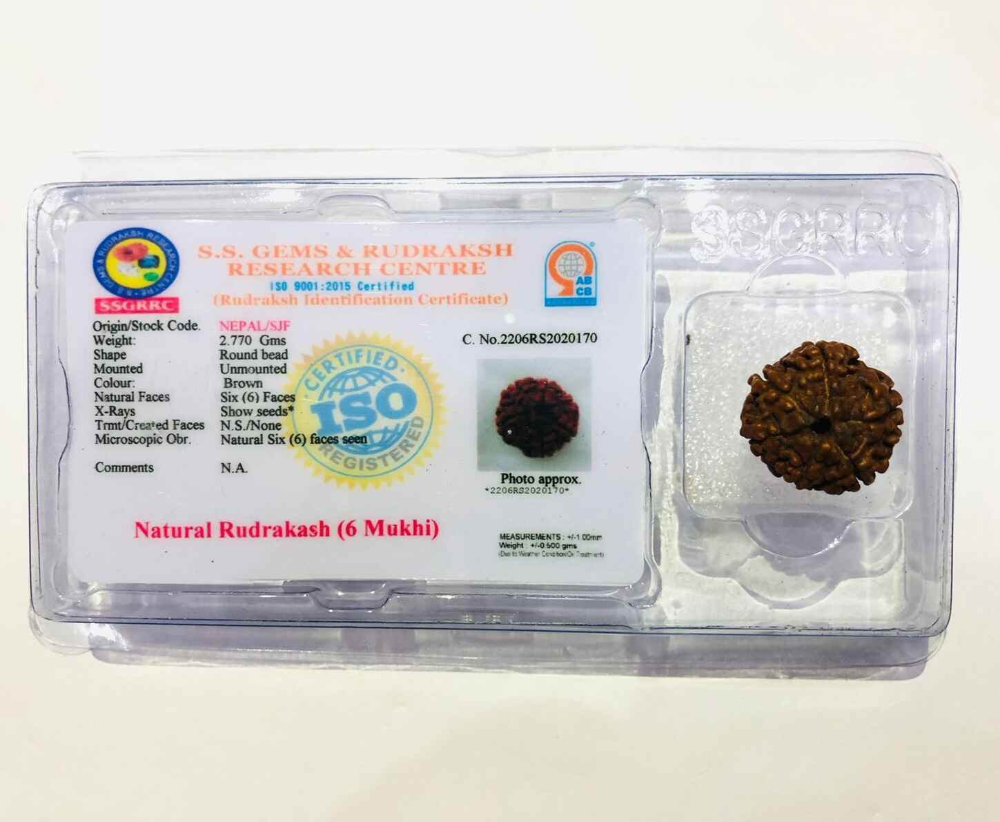 6 Mukhi Rudraksha presented in a certified packaging from SS Gems and Rudrash Research Centre