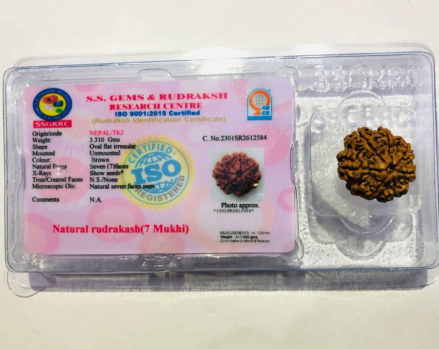 7 Mukhi Rudraksha in Clear Packaging with Identification Certificate from RudraGram