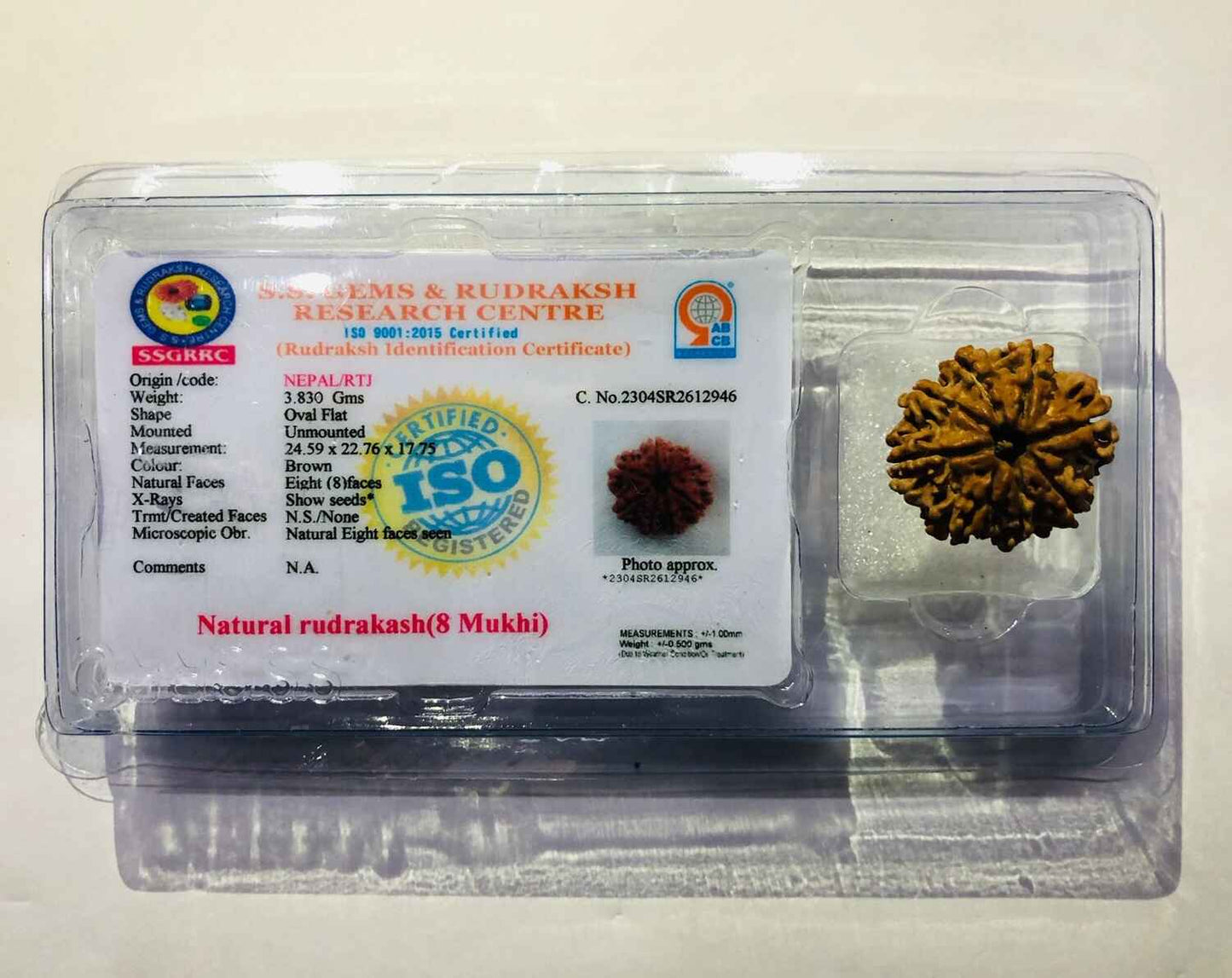 8 Mukhi Rudraksha in certified packaging with an identification certificate for authenticity