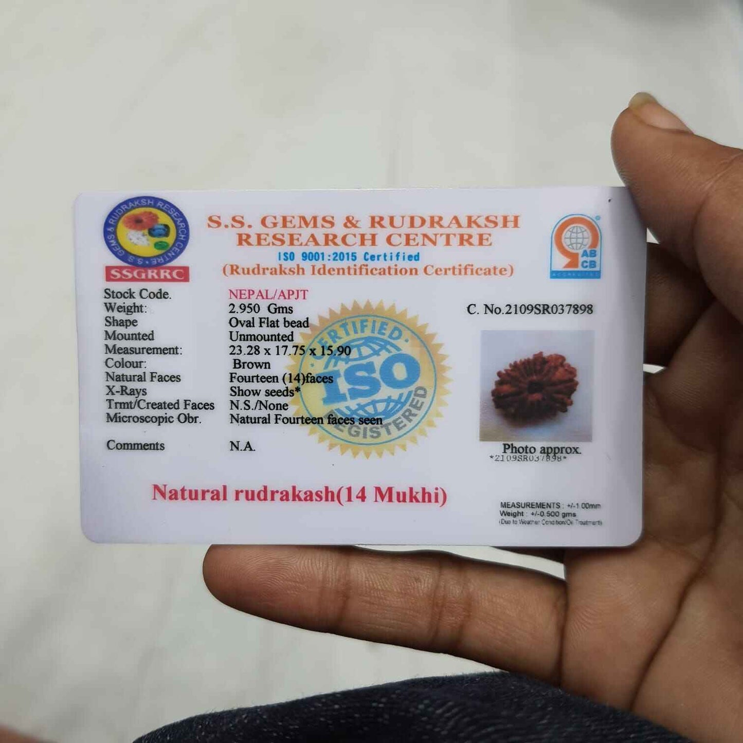 Rudraksha Identification Certificate for original 14 Mukhi Rudraksha with details of authenticity and specifications