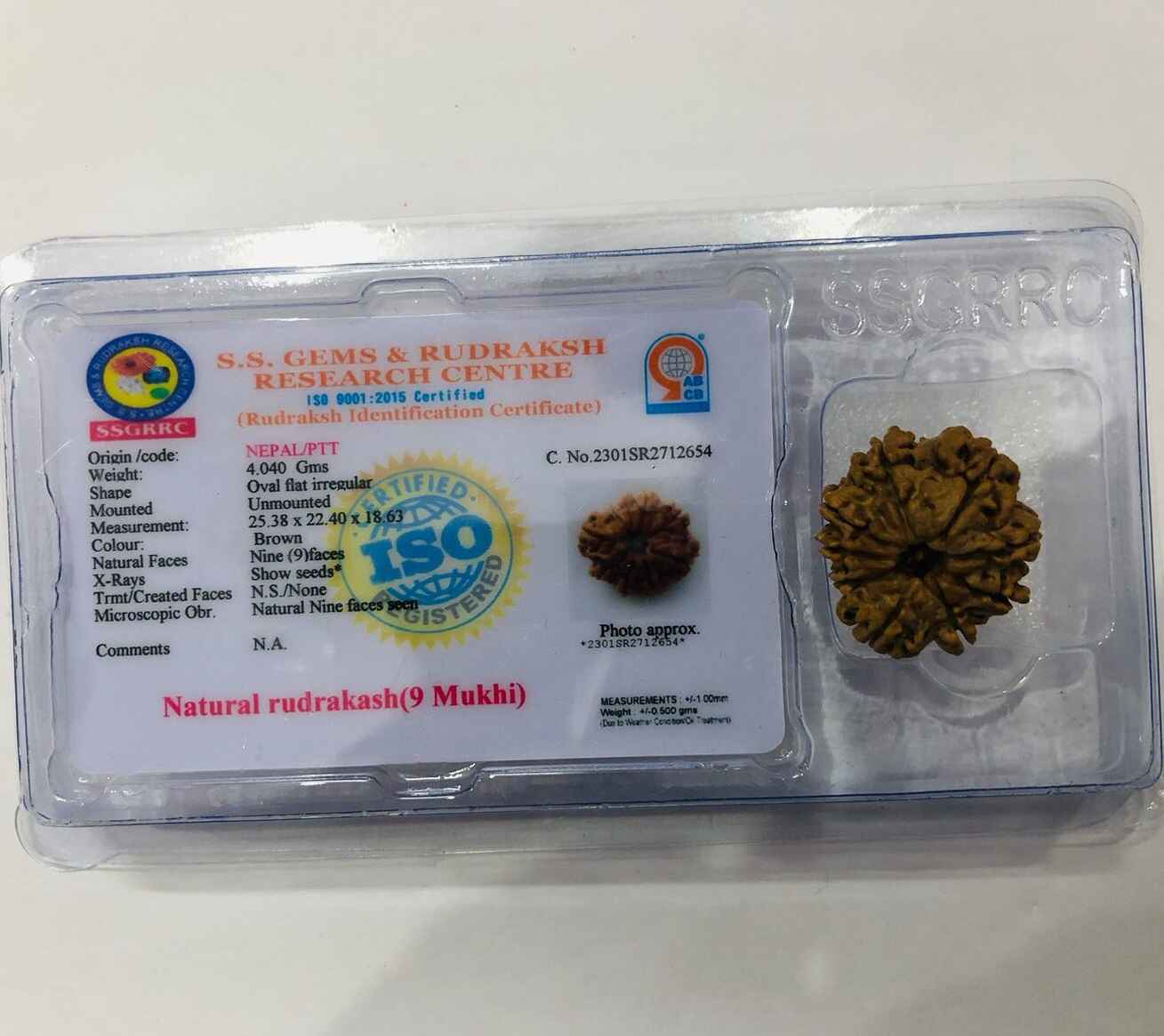 9 Mukhi Rudraksha in protective case with certification from S.S. Gems and Rudraksh Research Centre