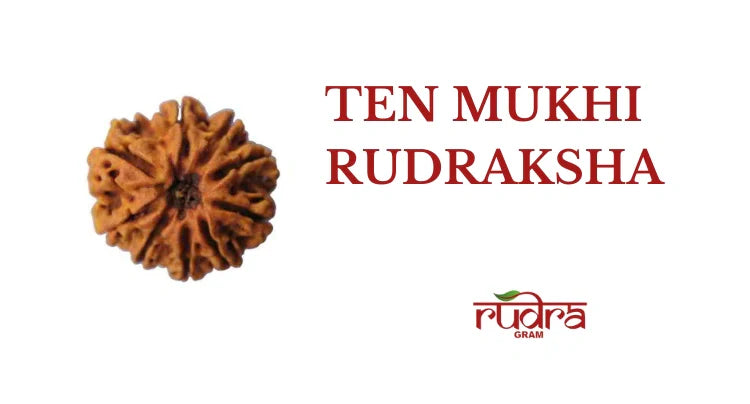 10 Mukhi Rudraksha: Shield of Divine Energy and Universal Protection