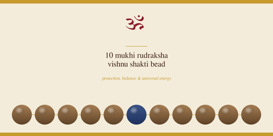 10 Mukhi Rudraksha: Meaning, Benefits and How to Wear It