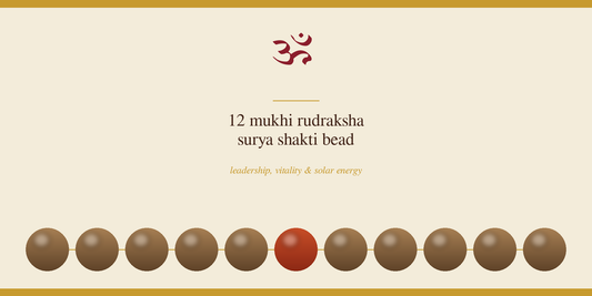 12 Mukhi Rudraksha: Meaning, Benefits and How to Wear It