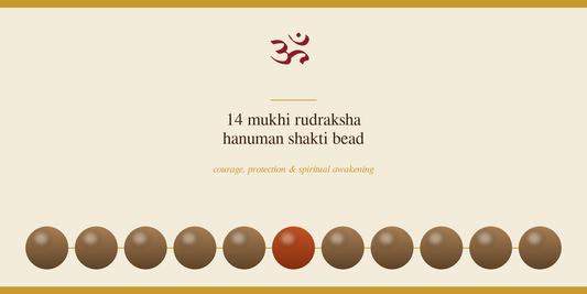 14 Mukhi Rudraksha: Meaning, Benefits and How to Wear a Rare Bead