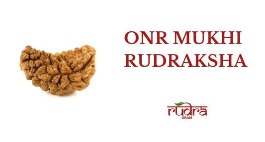 1 Mukhi Rudraksha benefits illustrated with a detailed image of the sacred seed