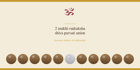 2 Mukhi Rudraksha: Meaning, Benefits & How to Wear It