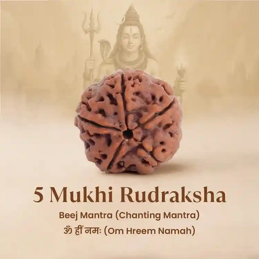 पंचमुखी रुद्राक्ष – रुद्राक्ष क्या है सम्पूर्ण गाइड