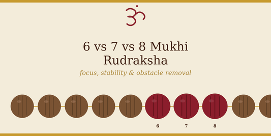 Which Rudraksha is Best for Wealth — 6, 7, or 8 Mukhi? A Clear Comparison