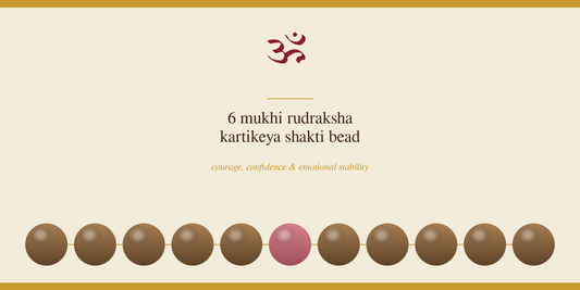 6 Mukhi Rudraksha: Meaning, Benefits & How to Wear It
