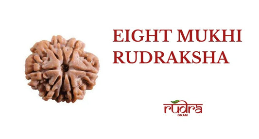 8 Mukhi Rudraksha: Removing Obstacles with the Blessings of Lord Ganesha