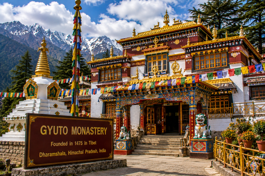 Gyuto Monastery – A Divine Spiritual Place in India