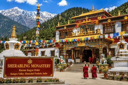 Sherabling Monastery – A Divine Spiritual Place in India