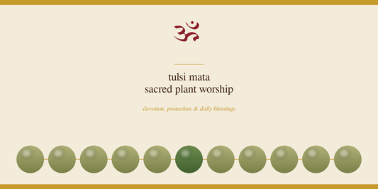 Tulsi Mata: Why the Tulsi Plant Is Worshipped in Hindu Homes