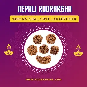 100% Original and Nepali Rudraksha