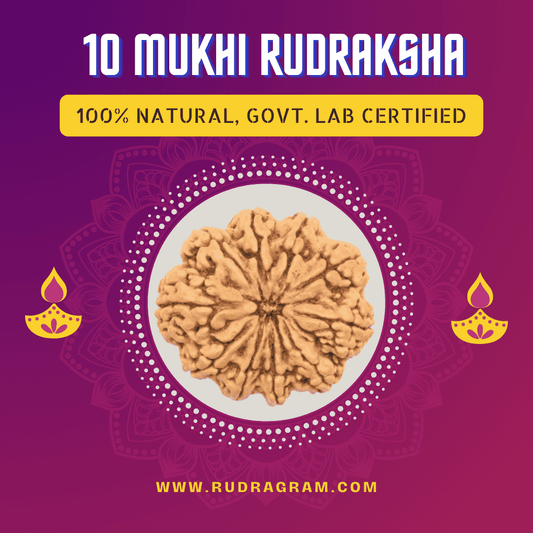 10 Mukhi Nepali Rudraksha