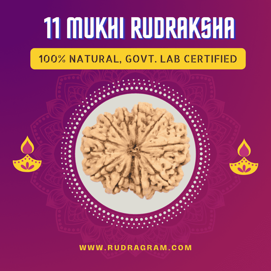 11 Mukhi Nepali Rudraksha
